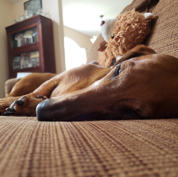 Meet Your Posher, Allie and Diane!! - Picture 3 of 8